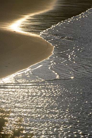 river edge 3781 1 graphic